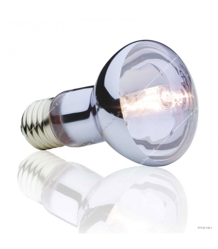 Hagen Exo Terra Halogen Basking Spot 50W (2181)