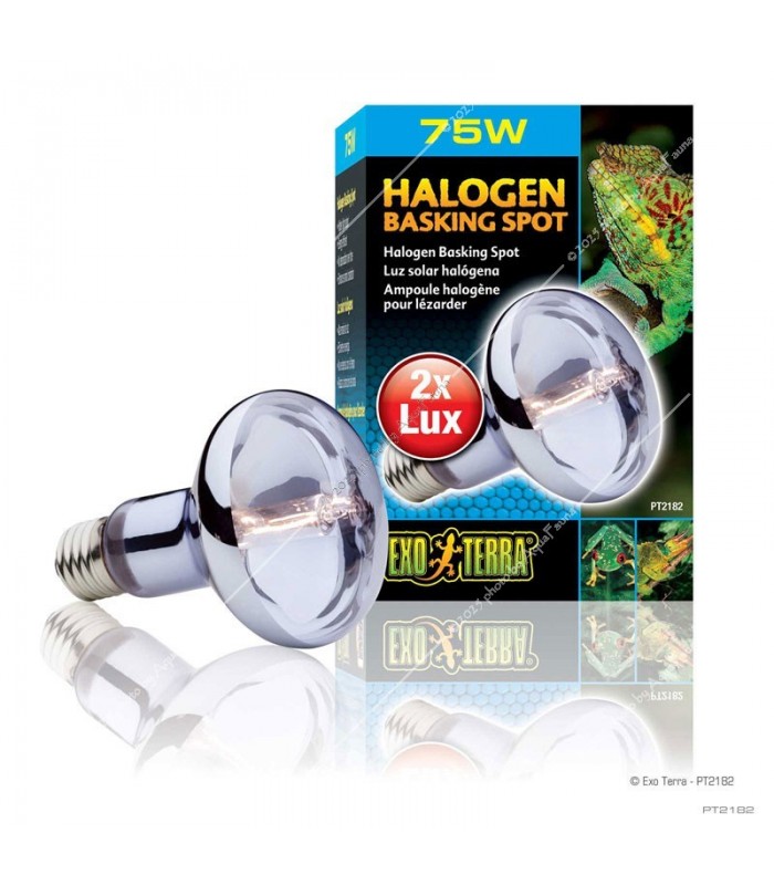 Hagen Exo Terra Halogen Basking Spot 75W (2182)
