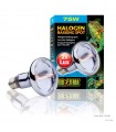 Hagen Exo Terra Halogen Basking Spot 75W (2182)