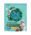 Purina ONE Dual Nature Adult - száraztáp macskáknak (csirke, spirulina) - 750 g