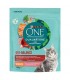 Purina ONE Dual Nature Sterilized - száraztáp ivartalanított macskáknak (lazac, áfonya) - 750 g