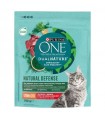 Purina ONE Dual Nature Sterilized - száraztáp ivartalanított macskáknak (marha, spirulina) - 750 g