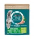 Purina ONE Indoor Bifensis - száraztáp lakásban tartott macskáknak (pulyka, gabona) - 800 g