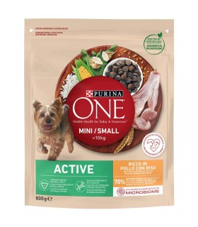 Purina ONE Mini-Small Active - száraztáp kistestű kutyáknak (csirke, rizs) - 800 g