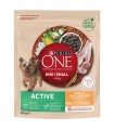 Purina ONE Mini-Small Active - száraztáp kistestű kutyáknak (csirke, rizs) - 800 g
