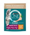 Purina ONE Urinary Care Bifensis - száraztáp macskáknak (csirke, gabona) - 800 g