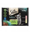 Sheba Kitten Selectie Mix - alutasakos eledel kölyök macskáknak mártásban (lazac, csirke) - 4x85 g
