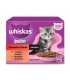Whiskas Junior Classic Meals - eledel kölyök macskáknak (marha, csirke, bárány, baromfi) - 12x85 g