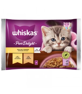 Whiskas Pure Delight Junior - nedves eledel kölyök macskáknak aszpikban (csirke, pulyka) - 4x85 g