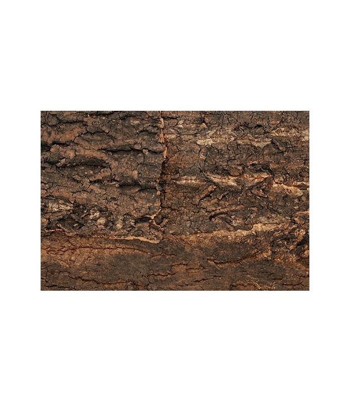 Repti Planet Background cork natural - parafa háttér terráriumokba (43,5x41x2 cm)