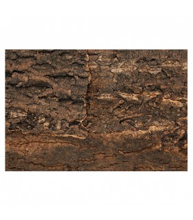 Repti Planet Background cork natural - parafa háttér terráriumokba (43,5x56x2 cm)