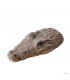 Hagen Exo Terra Croc Turtle Island - lebegő teknőssziget (krokodil) víziteknősőknek (21x10,5x4,5 cm)
