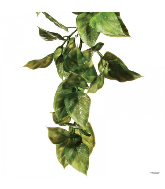 Hagen Exo Terra Amapallo Small - esőerdei lógó műnövény - (Amapallo) kb. 30 cm