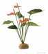 Hagen Exo Terra Anthurium Bush - esőerdei földi műnövény (Flamingóvirág) kb. 30 cm