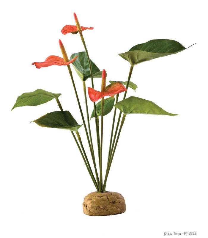 Hagen Exo Terra Anthurium Bush - esőerdei földi műnövény (Flamingóvirág) kb. 30 cm