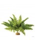 Hagen Exo Terra Boston Fern Medium - esőerdei földi műnövény (szoba páfrány) kb. 10 cm