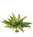 Hagen Exo Terra Boston Fern Medium - esőerdei földi műnövény (szoba páfrány) kb. 10 cm