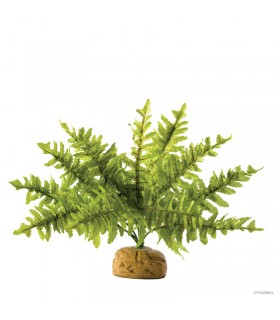 Hagen Exo Terra Boston Fern Medium - esőerdei földi műnövény (szoba páfrány) kb. 20 cm