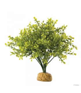 Hagen Exo Terra Boxwood Bush - esőerdei földi műnövény - Bukszus