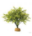 Hagen Exo Terra Boxwood Bush - esőerdei földi műnövény - Bukszus