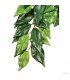 Hagen Exo Terra Ficus Large - esőerdei lógó műnövény (Fikusz) kb. 60 cm