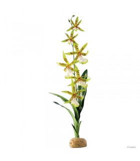 Hagen Exo Terra Spider Orchid - esőerdei lógó műnövény (Pók Orchidea) kb. 45 cm