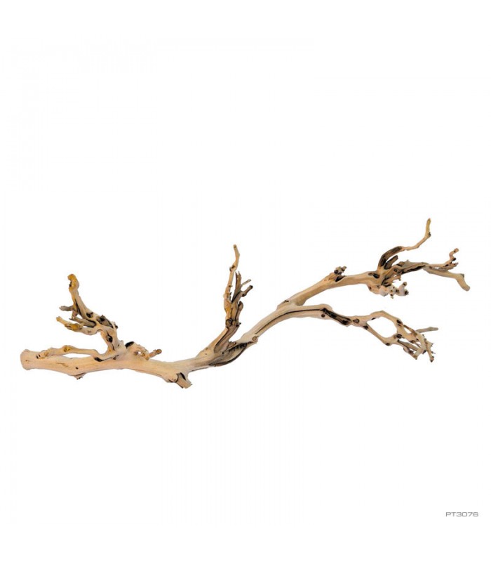 Hagen Exo Terra Forest Branch Sanblasted Grapevine Large - Szőlő mászóágak terráriumba (60 cm)