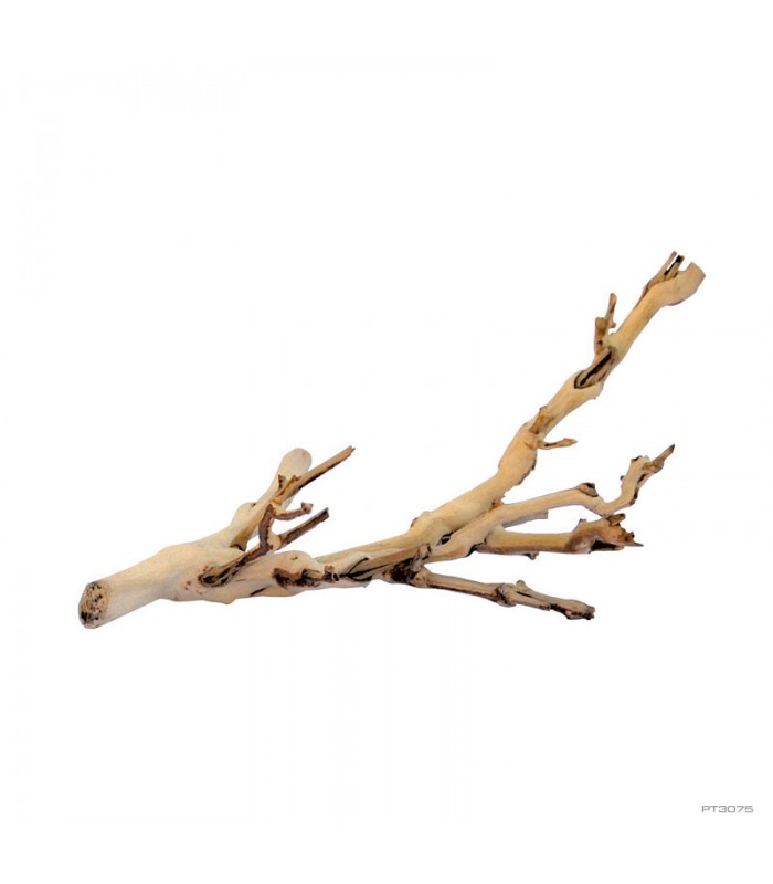 Hagen Exo Terra Forest Branch Sanblasted Grapevine Small - Szőlő mászóágak terráriumba (30 cm)