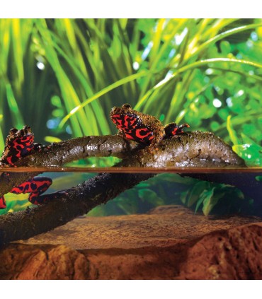 Hagen Exo Terra Jungle Vines Small - Természetes hatású műlián (1 x 1 x 182 cm)