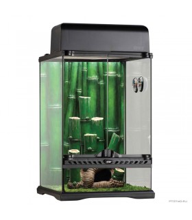 Hagen Exo Terra Bamboo Forest Small terrárium - Dekoratív kivitelű üvegterrárium (30x30x45 cm)