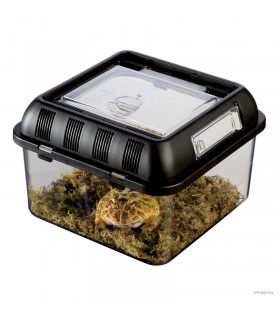 Hagen Exo Terra Breeding Box Small - Műanyag tenyésztő doboz (S)