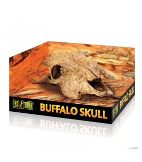 Hagen Exo Terra Buffalo Skull - bölény koponya formájú búvóhely terrariumba (13x9x24 cm)