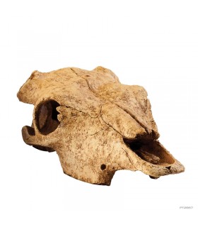 Hagen Exo Terra Buffalo Skull - bölény koponya formájú búvóhely terrariumba (13x9x24 cm)