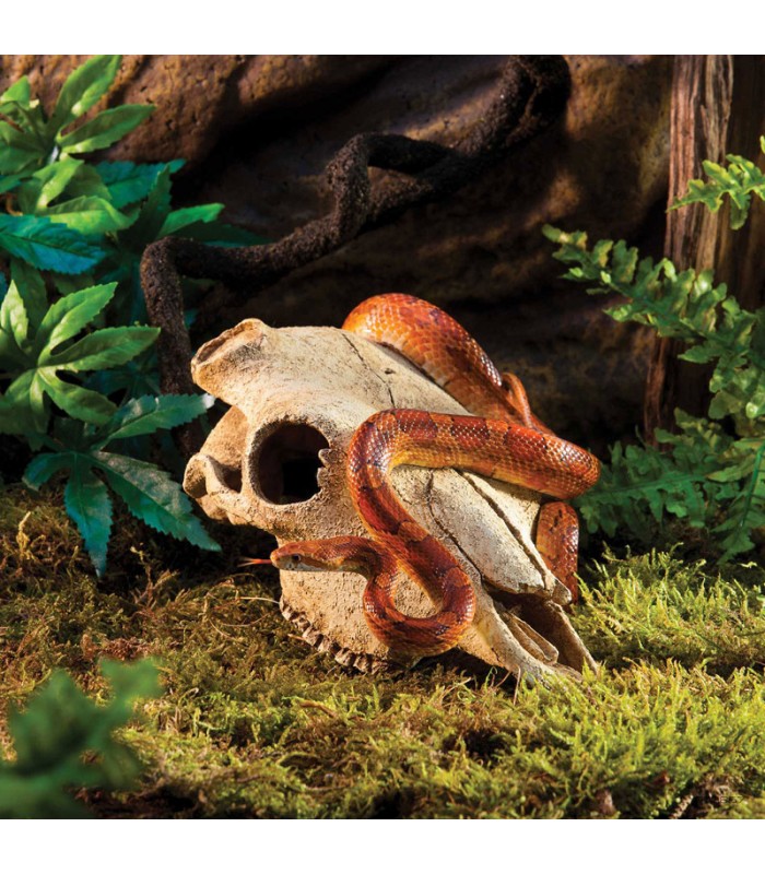 Hagen Exo Terra Buffalo Skull - bölény koponya formájú búvóhely terrariumba (13x9x24 cm)