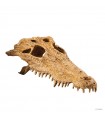 Hagen Exo Terra Crocodile Skull - krokodilkoponya formájú búvóhely hüllők részére (12x22x8 cm)