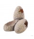 Hagen Exo Terra Dinosaur Eggs Small - Dinoszaurusz tojás bújó hüllők részére (15 cm)