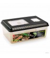 Hagen Exo Terra Faunarium XX-Large - Ideiglenes terráriumdoboz (46x30x17 cm)