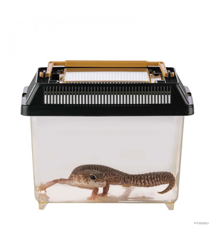 Hagen Exo Terra Faunarium X-Small - Ideiglenes terráriumdoboz (18x11x12,5 cm)