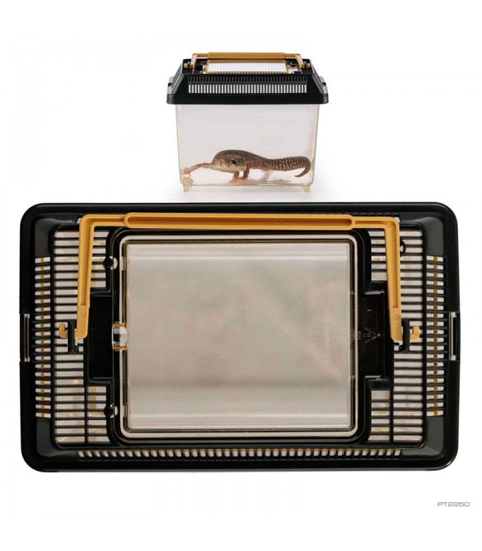 Hagen Exo Terra Faunarium X-Small - Ideiglenes terráriumdoboz (18x11x12,5 cm)