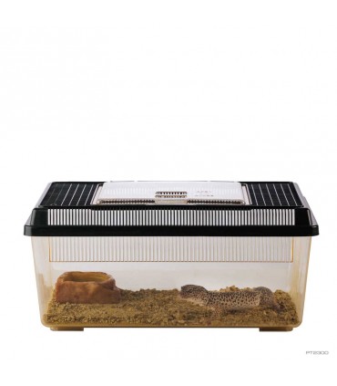 Hagen Exo Terra Faunarium X-Large - Ideiglenes terráriumdoboz (36x21x16 cm)