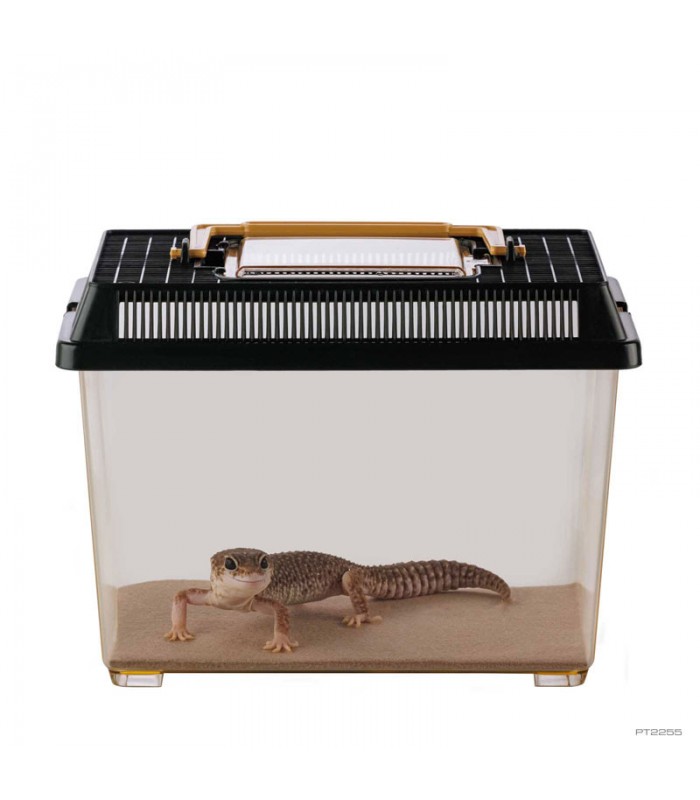 Hagen Exo Terra Faunarium Small - Ideiglenes terráriumdoboz (23x15,5x17 cm)