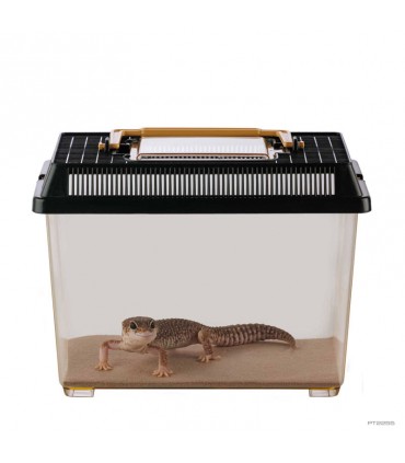 Hagen Exo Terra Faunarium Small - Ideiglenes terráriumdoboz (23x15,5x17 cm)