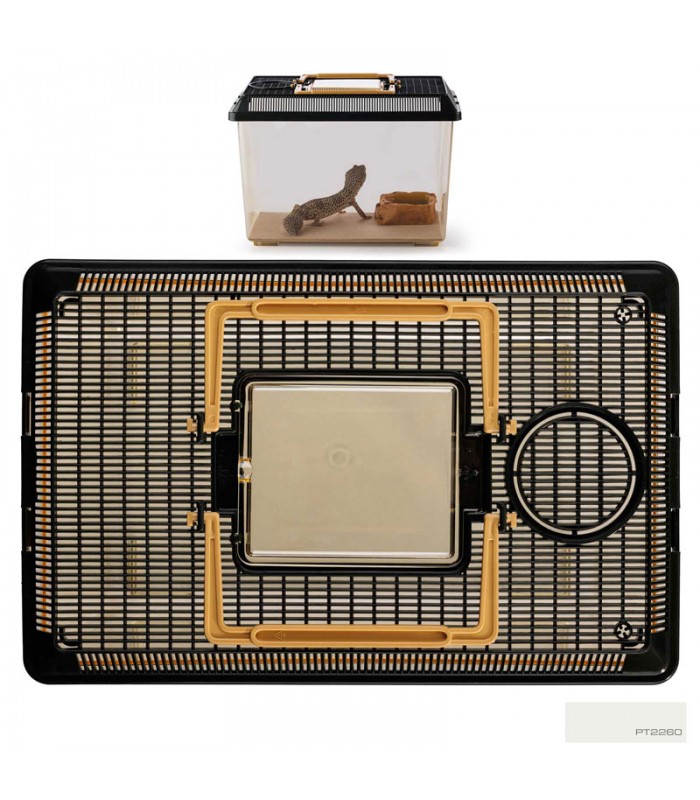 Hagen Exo Terra Faunarium Medium - Ideiglenes terráriumdoboz (30x19,5x20,5 cm)