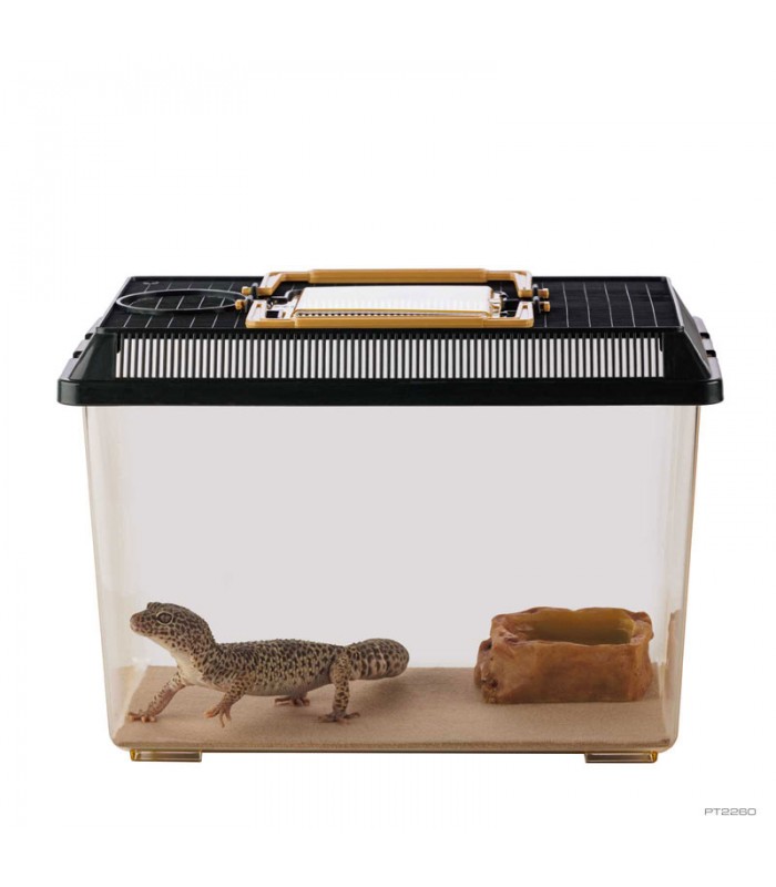 Hagen Exo Terra Faunarium Medium - Ideiglenes terráriumdoboz (30x19,5x20,5 cm)