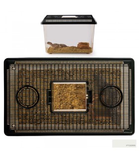 Hagen Exo Terra Faunarium Large - Ideiglenes terráriumdoboz (37x22x16 cm)