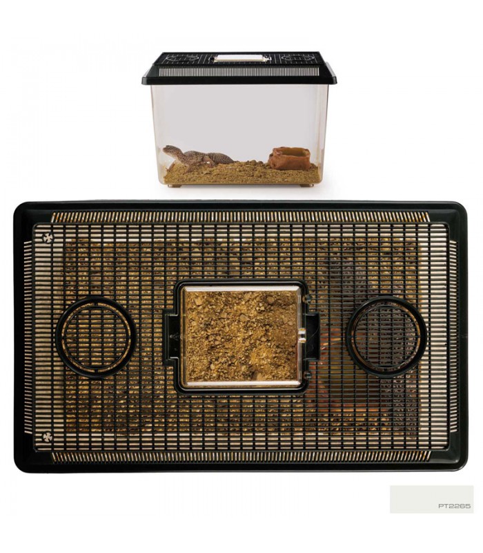 Hagen Exo Terra Faunarium Large - Ideiglenes terráriumdoboz (37x22x16 cm)