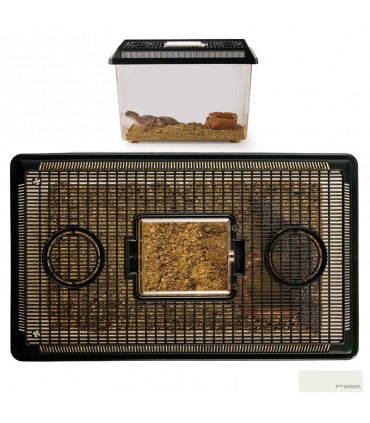 Hagen Exo Terra Faunarium Large - Ideiglenes terráriumdoboz (37x22x16 cm)