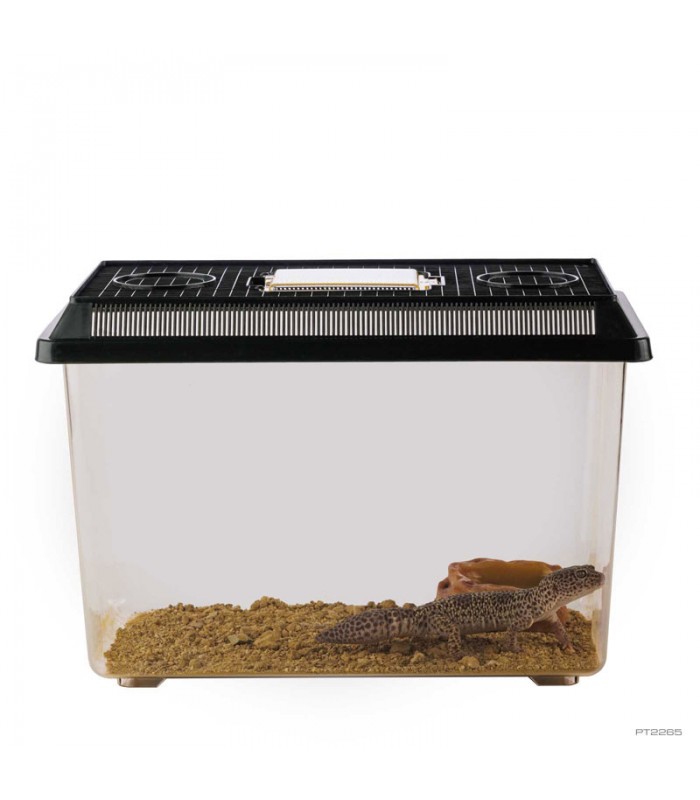 Hagen Exo Terra Faunarium Large - Ideiglenes terráriumdoboz (37x22x16 cm)