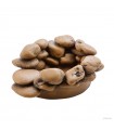 Hagen Exo Terra Frog Pond Large Pebble Water Dish - vizestál békáknak (17X13,5X6 cm)