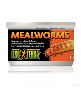Hagen Exo Terra Mealworms - eledel (Lisztkukac) terráriumi állatok részére (34 g)